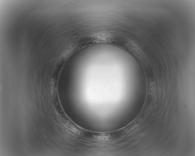 X0000054380318200508051628