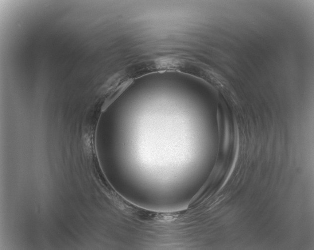 X0000054380329200508051628
