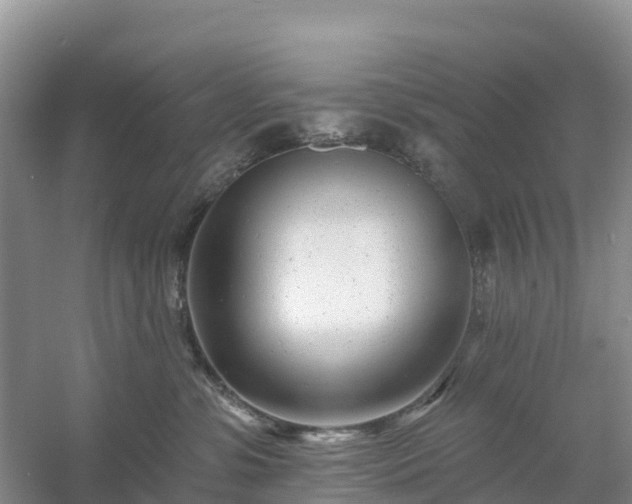 X0000054380331200508051628