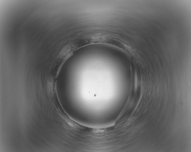 X0000054380333200508051628