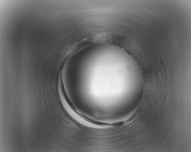 X0000054380335200508051628