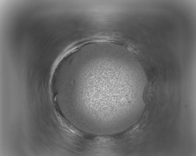 X0000054380343200508051627