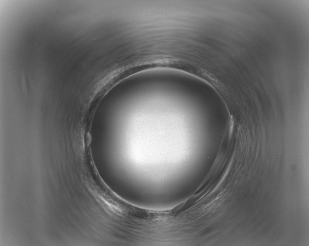 X0000054380350200508051627