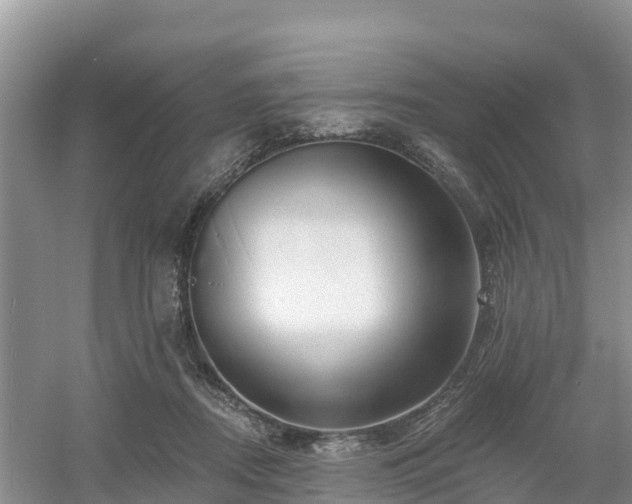 X0000054380362200508051627