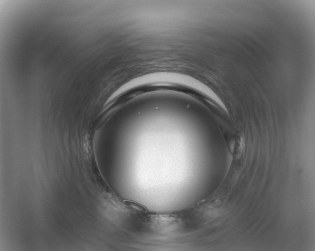 X0000054380380200508051628