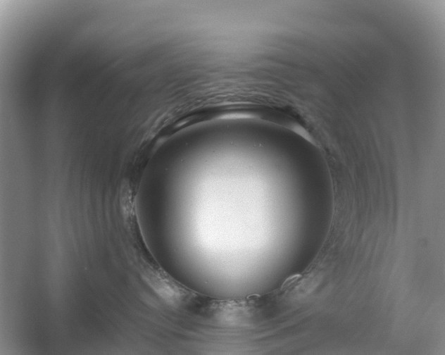 X0000054380384200508051628