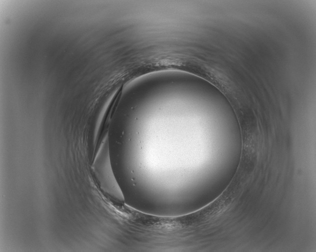 X0000054380402200508051627