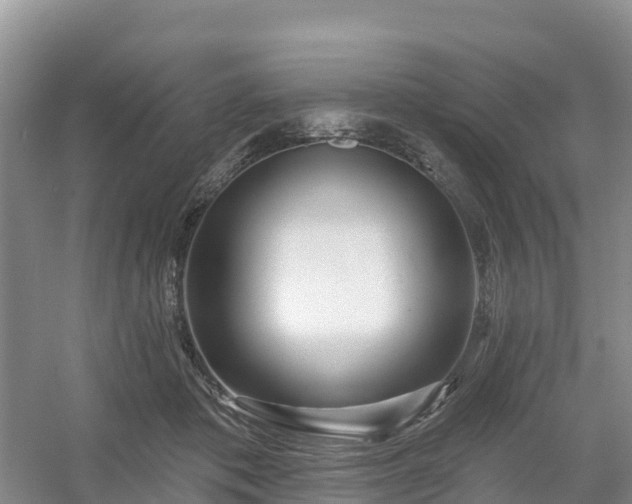 X0000054380413200508051626