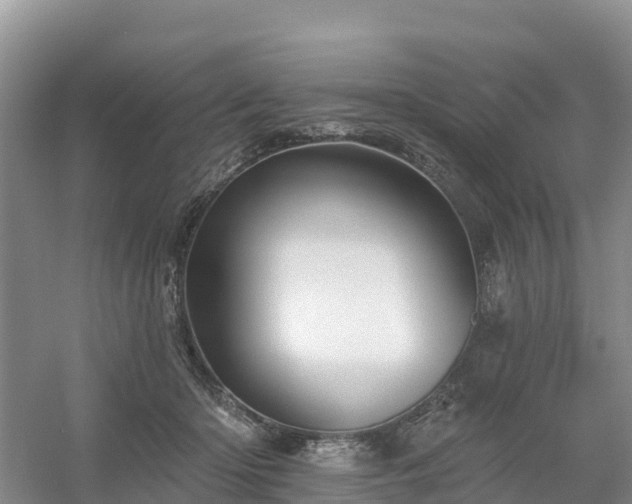 X0000054380414200508051626