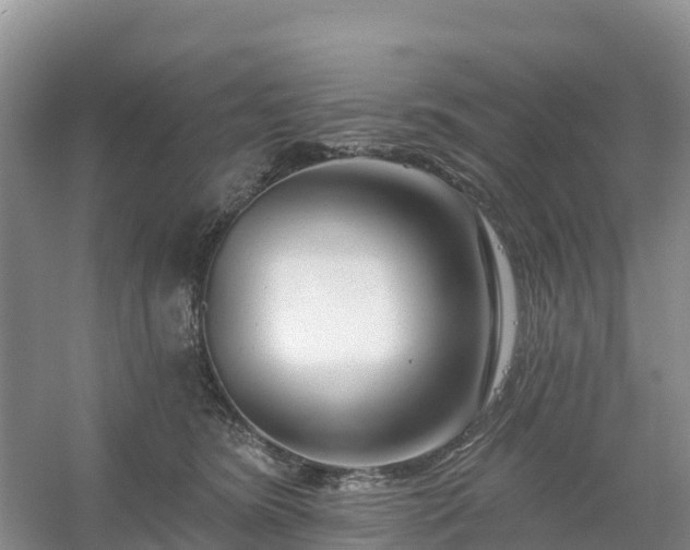 X0000054380420200508051626