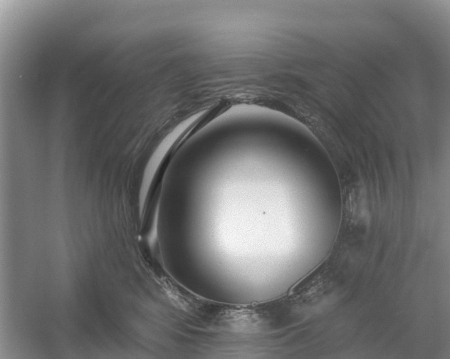 X0000054380424200508051626