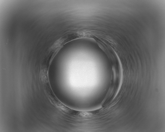 X0000054380429200508051626