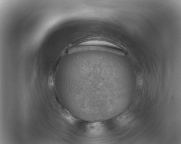 X0000054380431200508051626