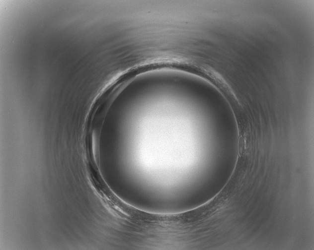 X0000054380436200508051625