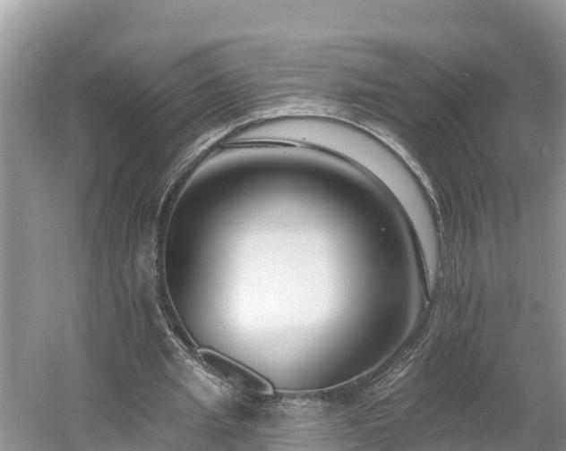 X0000054380437200508051625
