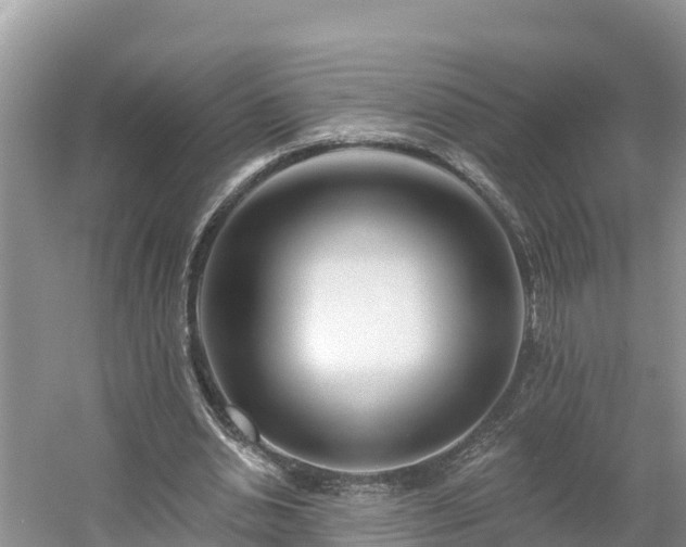 X0000054380438200508051625