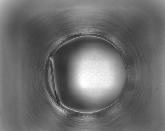 X0000054380445200508051625