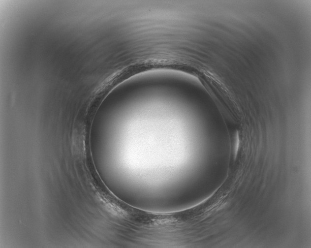X0000054380446200508051625