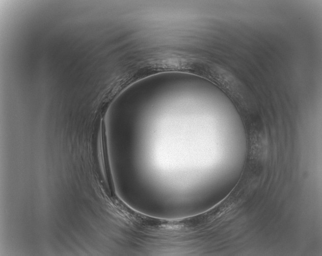 X0000054380457200508051626