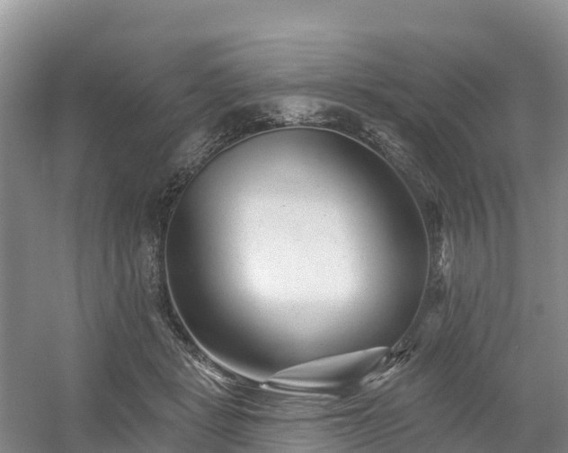 X0000054380461200508051626