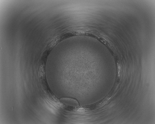 X0000054380467200508051626