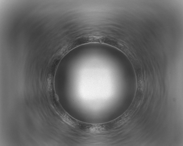 X0000054380468200508051626