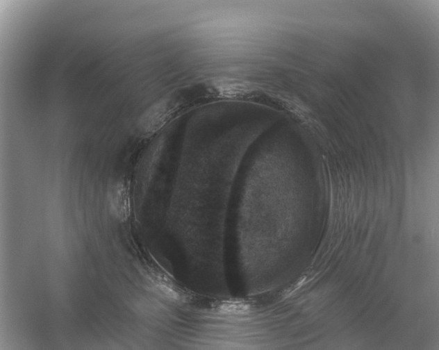 X0000054380471200508051626