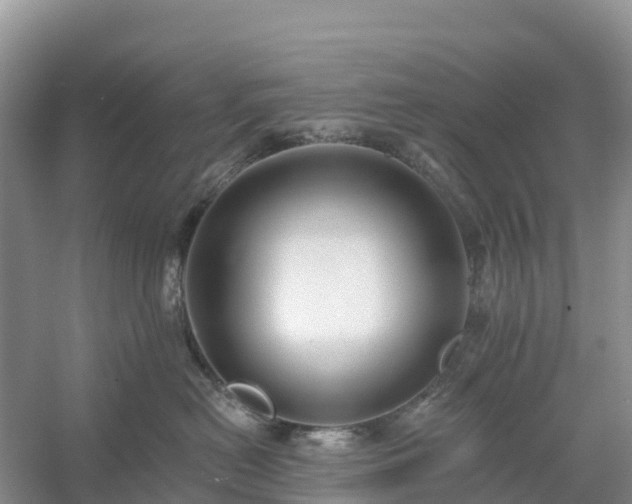 X0000054380478200508051626