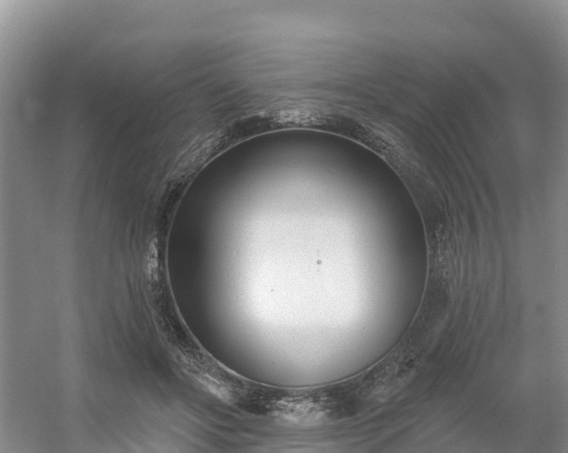 X0000054380502200508051625