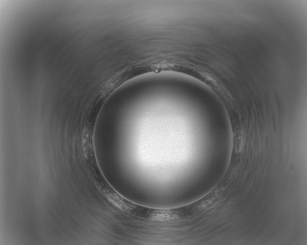 X0000054380521200508051624