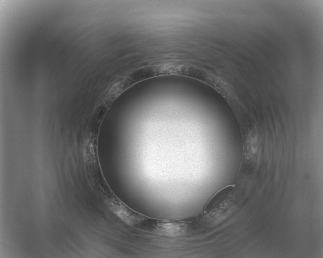 X0000054380522200508051624