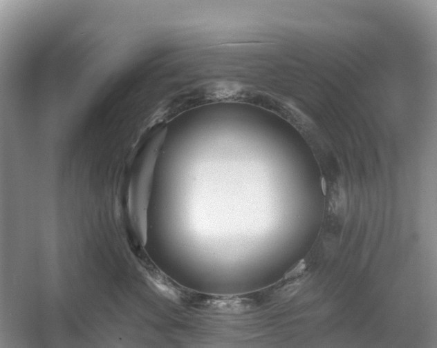 X0000054380524200508051624