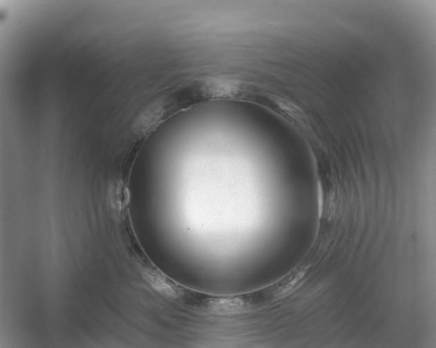 X0000054380525200508051624