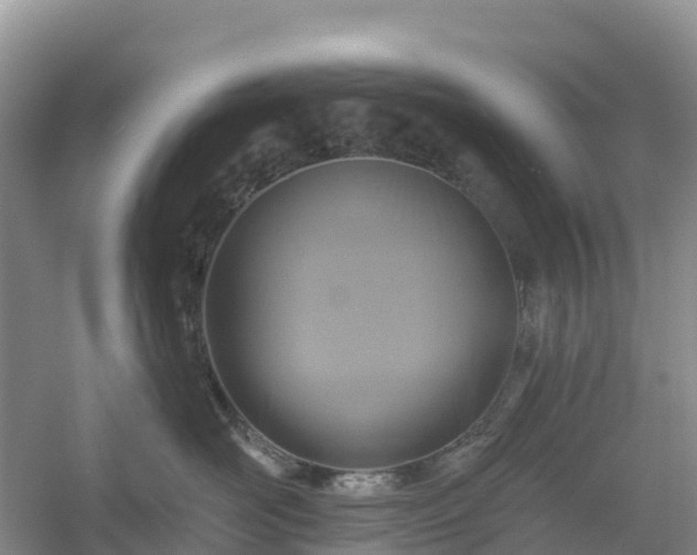 X0000054380526200508051624