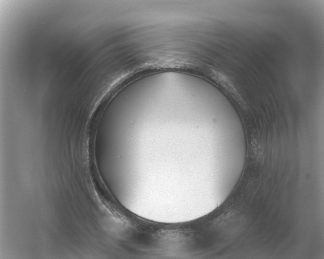 X0000054380534200508051624