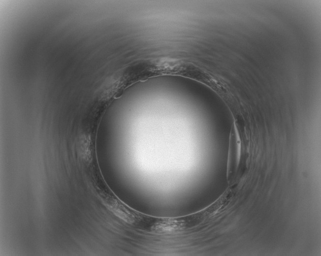 X0000054380563200508051624