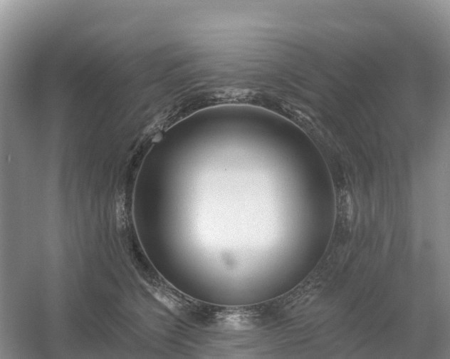 X0000054380564200508051624
