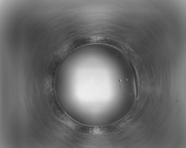 X0000054380565200508051624