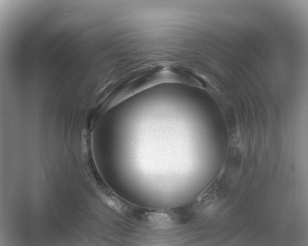 X0000054380572200508051624