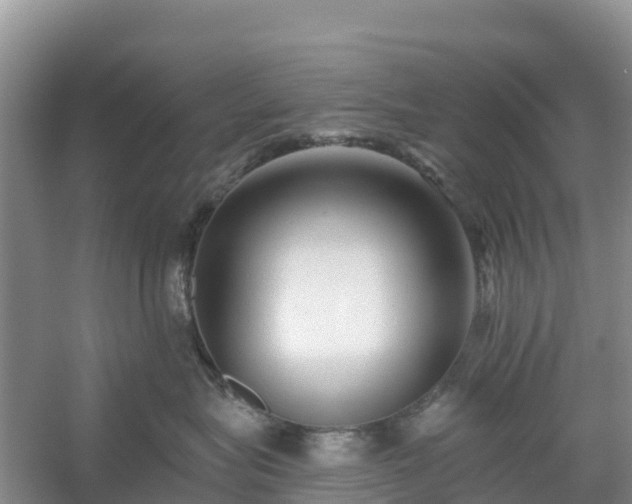 X0000054380575200508051624