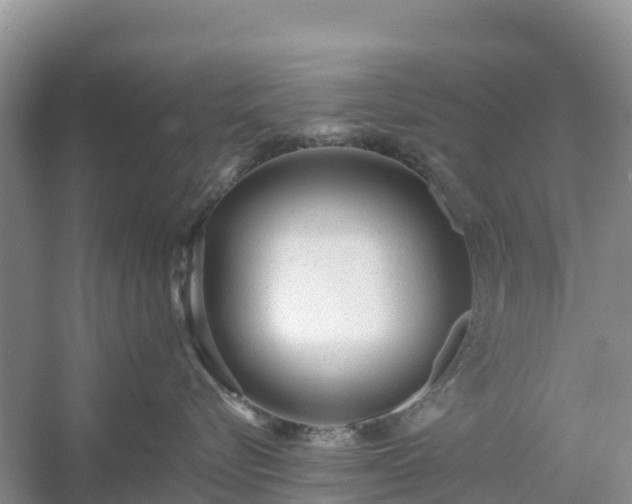 X0000054380576200508051624