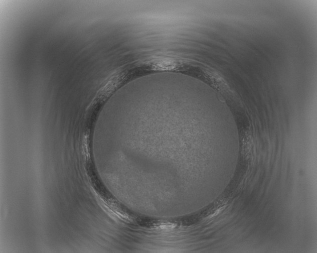 X0000054380598200508051623