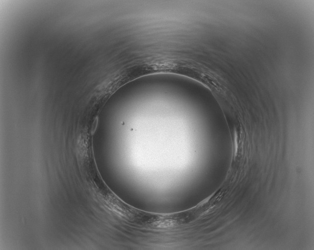 X0000054380604200508051623