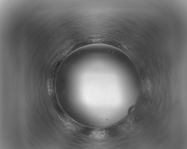 X0000054380606200508051623