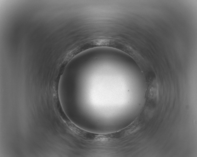 X0000054380620200508051623