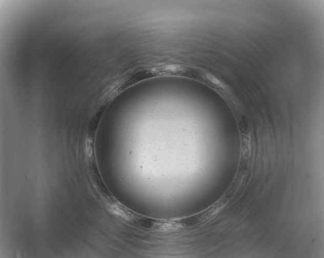 X0000054380621200508051623