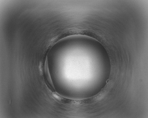 X0000054380624200508051623