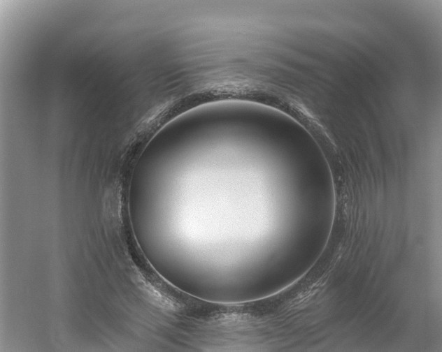 X0000054380637200508051622