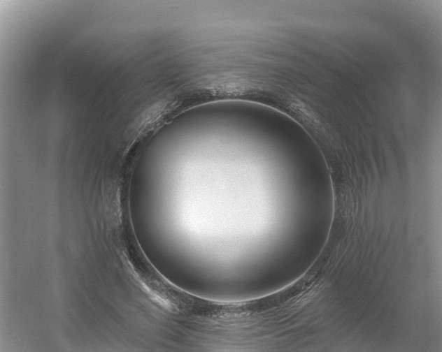 X0000054380638200508051622