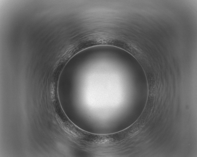 X0000054380646200508051622